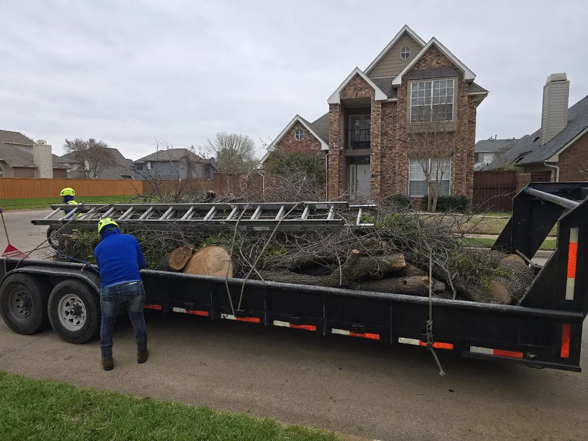 Expert Tree Fertilization with proper safety equipment in D Hanis